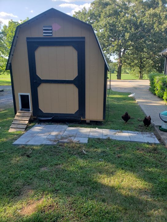 Larger coop with vent fan and pop door installed